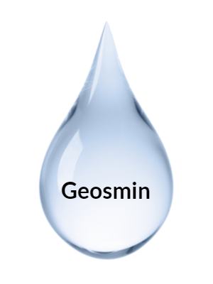 Geosmin